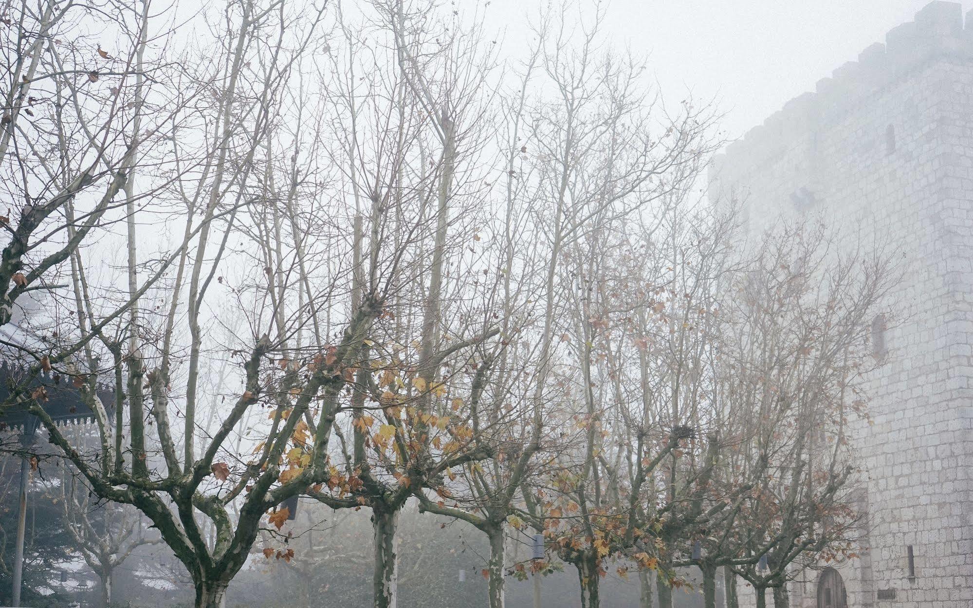 Landa Otel Burgo Dış mekan fotoğraf Trees in winter